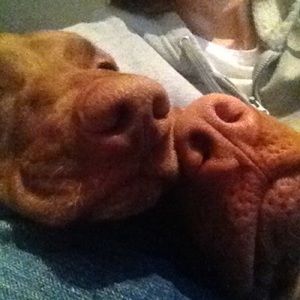 Meet your Posher, Lori